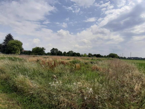 terreno agricolo in vendita a Dueville