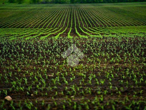 terreno edificabile in vendita a Dueville in zona Passo di Riva