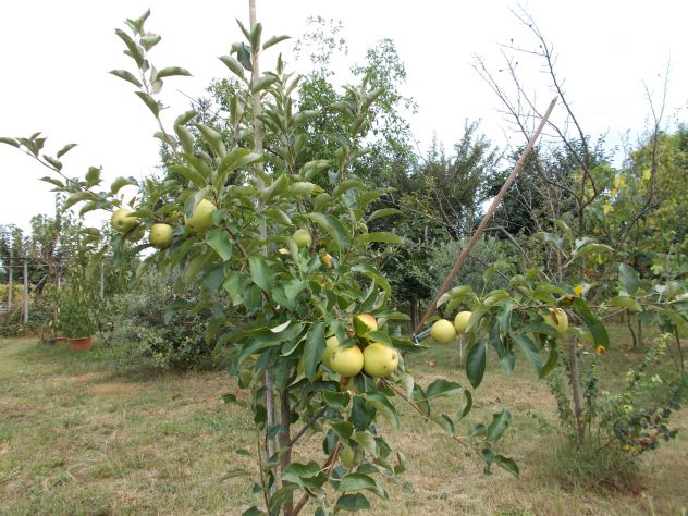 terreno edificabile in vendita a Dueville