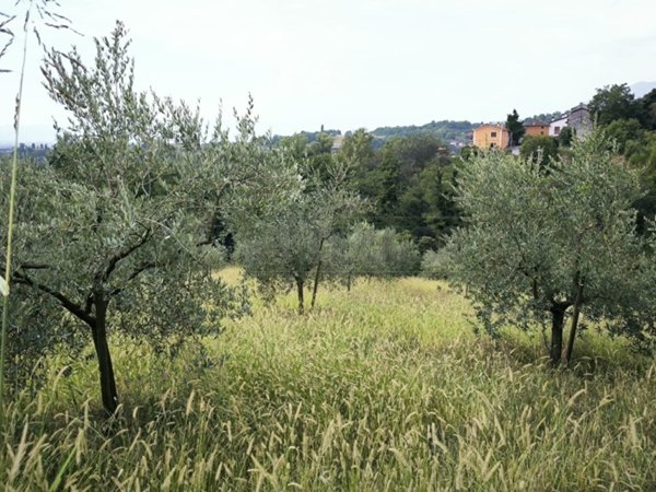 terreno agricolo in vendita a Fara Vicentino