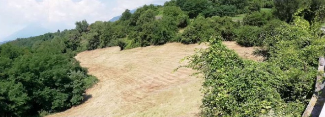 terreno edificabile in vendita a Fara Vicentino