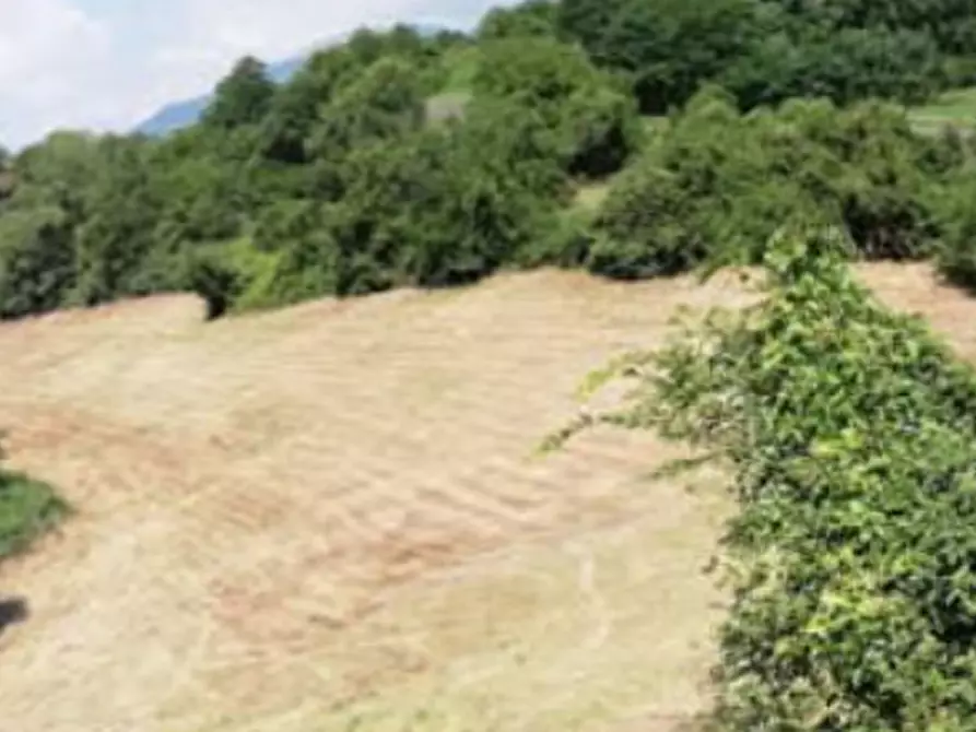 terreno agricolo in vendita a Fara Vicentino