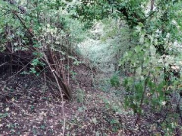 terreno agricolo in vendita a Fara Vicentino