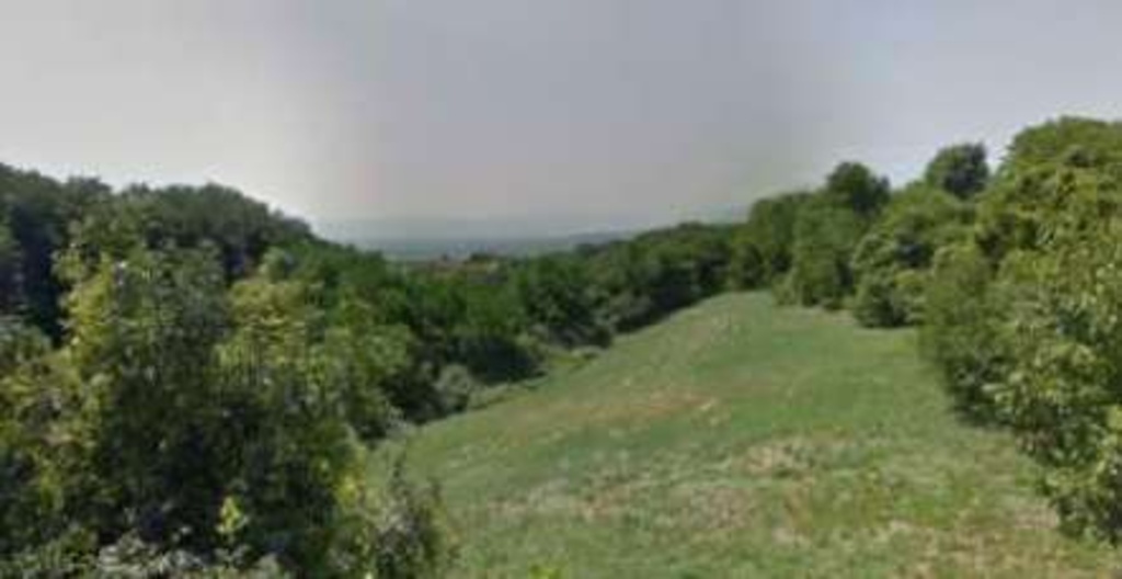 terreno agricolo in vendita a Fara Vicentino