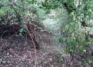 terreno edificabile in vendita a Fara Vicentino