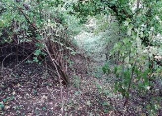 terreno edificabile in vendita a Fara Vicentino