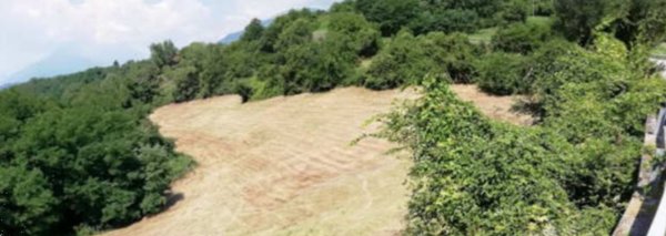 terreno agricolo in vendita a Fara Vicentino