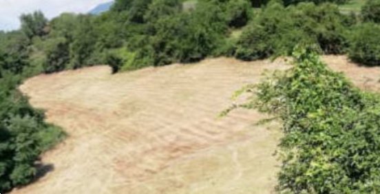 terreno agricolo in vendita a Fara Vicentino