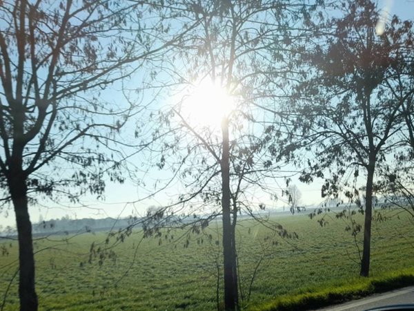 terreno agricolo in vendita a Fara Vicentino