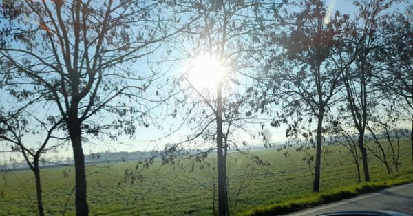 terreno agricolo in vendita a Fara Vicentino