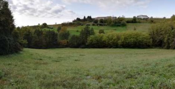 terreno agricolo in vendita a Fara Vicentino