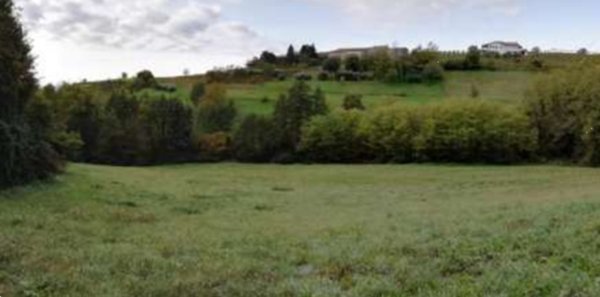 terreno agricolo in vendita a Fara Vicentino