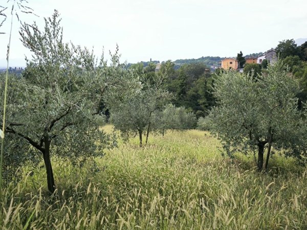 terreno agricolo in vendita a Fara Vicentino
