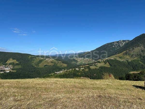 terreno agricolo in vendita a Foza in zona Tessar