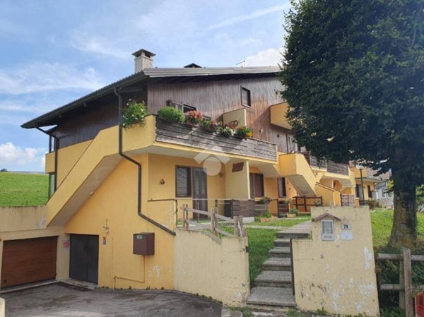 immagine annuncio 0 di 15