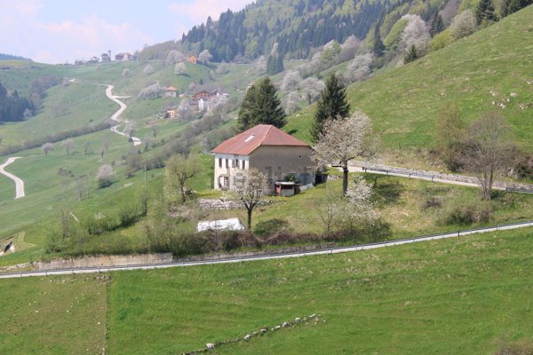 immagine annuncio 0 di 1