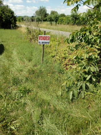 terreno agricolo in vendita a Grisignano di Zocco