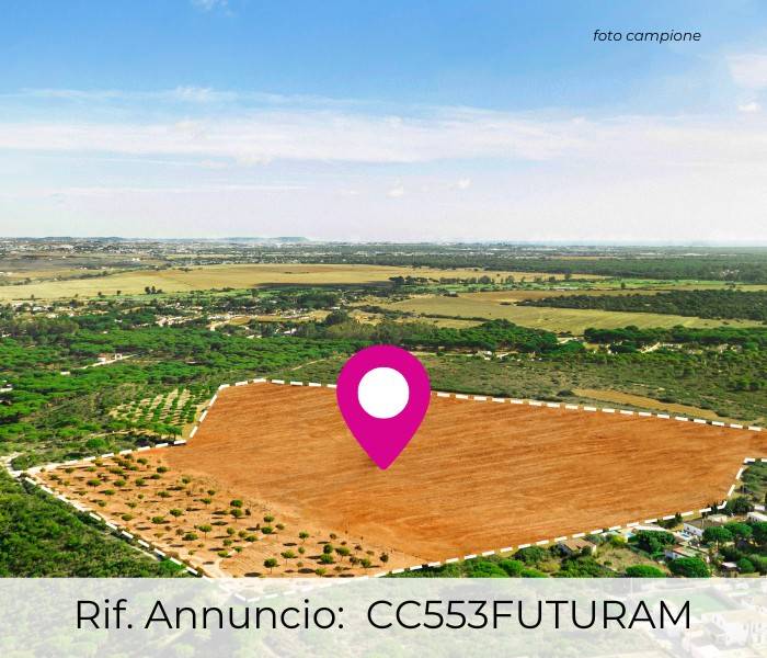 terreno edificabile in vendita a Grisignano di Zocco