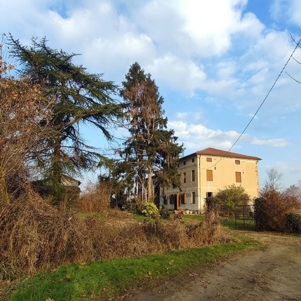 casa indipendente in vendita a Grisignano di Zocco