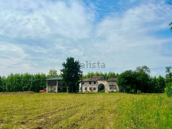 esavano in vendita a Grisignano di Zocco