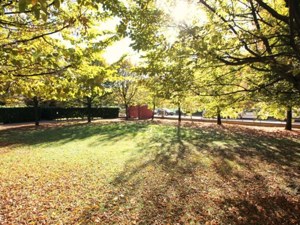 casa indipendente in vendita a Grisignano di Zocco in zona Barbano
