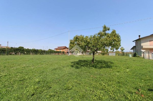 terreno agricolo in vendita a Grisignano di Zocco