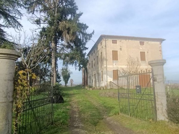 casa indipendente in vendita a Grisignano di Zocco