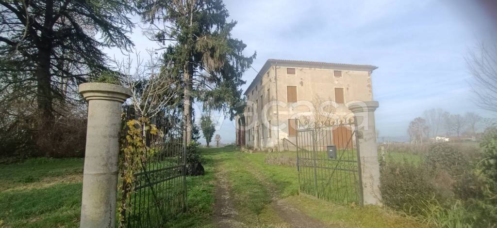 casa indipendente in vendita a Grisignano di Zocco