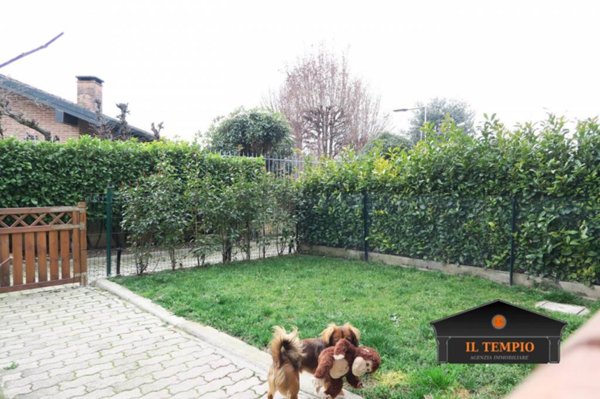 casa indipendente in vendita a Grisignano di Zocco