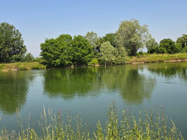 terreno agricolo in vendita a Grisignano di Zocco in zona Barbano