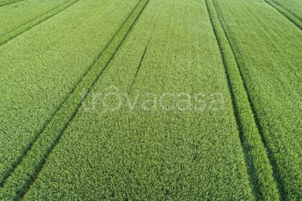 terreno agricolo in vendita ad Isola Vicentina in zona Castelnovo