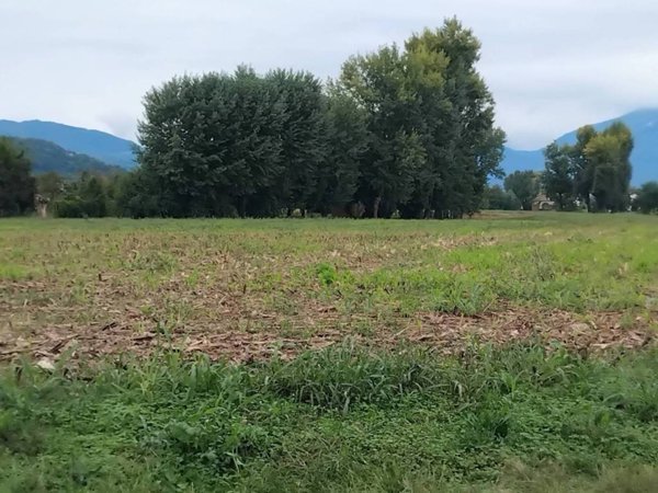 terreno agricolo in vendita ad Isola Vicentina