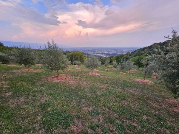 terreno agricolo in vendita ad Isola Vicentina