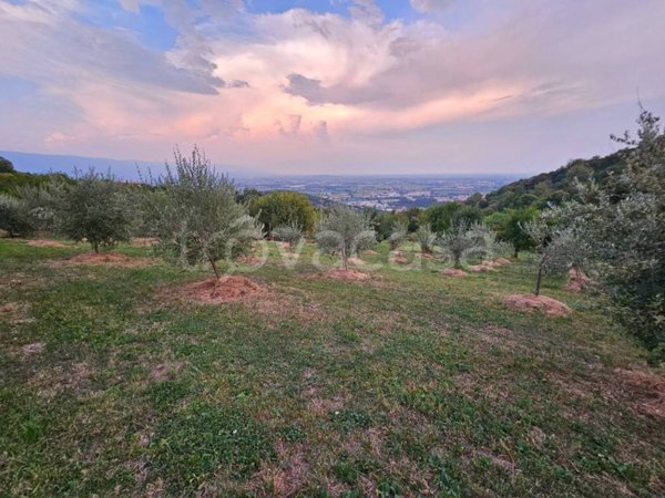 casa indipendente in vendita ad Isola Vicentina