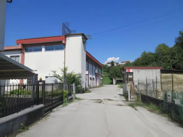 pentavano in vendita ad Isola Vicentina in zona Castelnovo