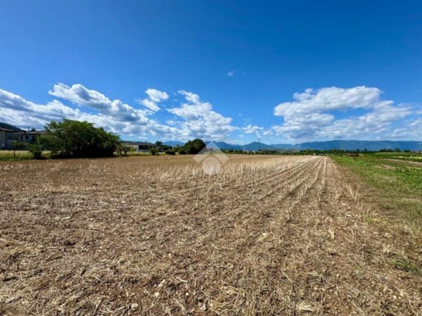 terreno agricolo in vendita ad Isola Vicentina