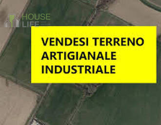 immagine annuncio 0 di 2