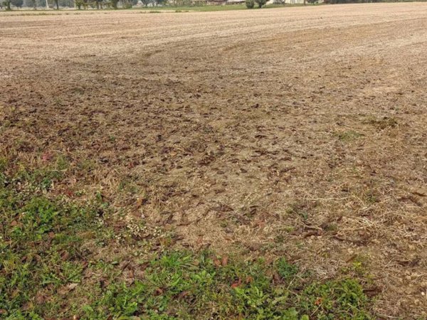 terreno edificabile in vendita ad Isola Vicentina in zona Castelnovo