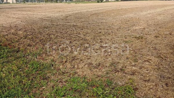 terreno edificabile in vendita ad Isola Vicentina in zona Castelnovo