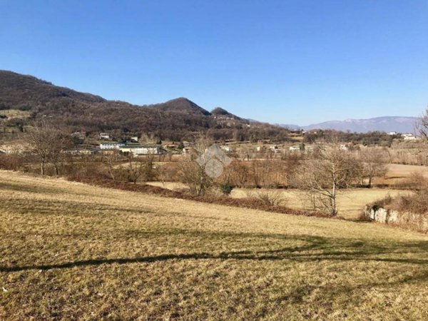 terreno agricolo in vendita ad Isola Vicentina