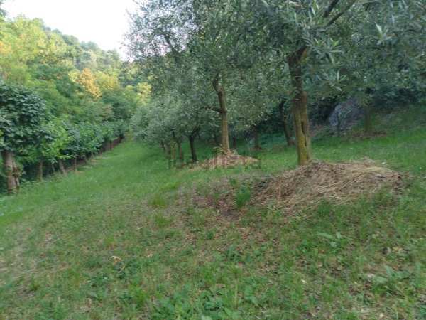 terreno agricolo in vendita ad Isola Vicentina in zona Castelnovo