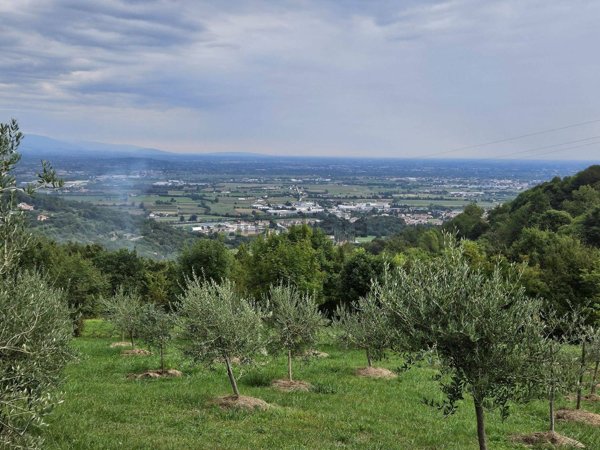 terreno edificabile in vendita ad Isola Vicentina