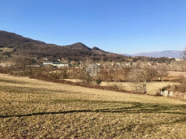 terreno agricolo in vendita ad Isola Vicentina