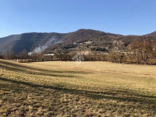 terreno agricolo in vendita ad Isola Vicentina