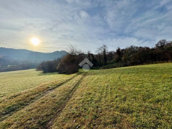 terreno agricolo in vendita ad Isola Vicentina