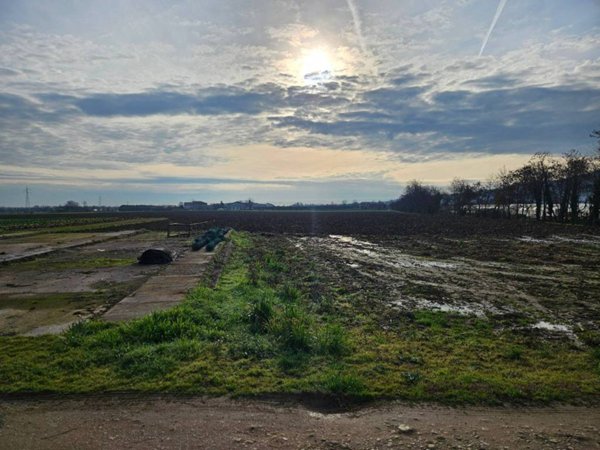 terreno edificabile in vendita ad Isola Vicentina