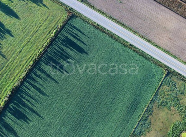 terreno agricolo in vendita ad Isola Vicentina