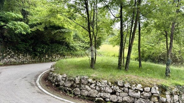 terreno agricolo in vendita ad Isola Vicentina in zona Torreselle