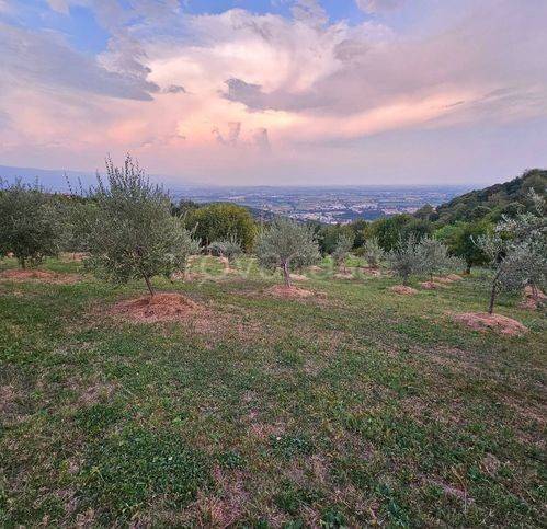 casa indipendente in vendita ad Isola Vicentina
