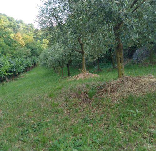 casa indipendente in vendita ad Isola Vicentina in zona Castelnovo